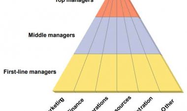 Intermediate Management Skill - Introduction to Business and Management