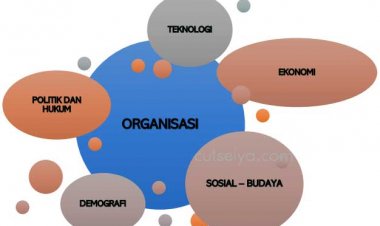 Intermediate Decision Making and Problem Solving