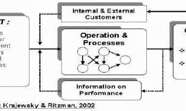 Operations Management (OM)